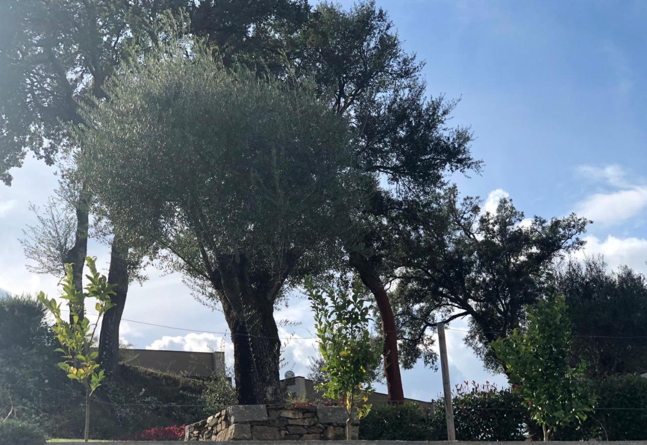 منزل الضيف Arco de Baulhe  في Bosque Da Harmonia المظهر الخارجي الصورة